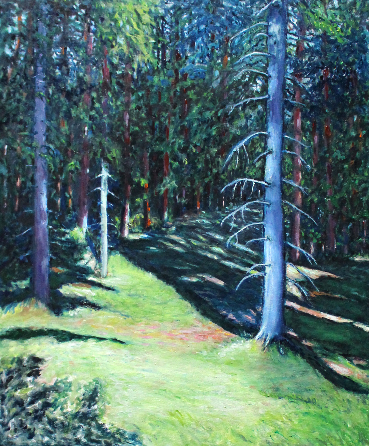 Tisvilde Hegn